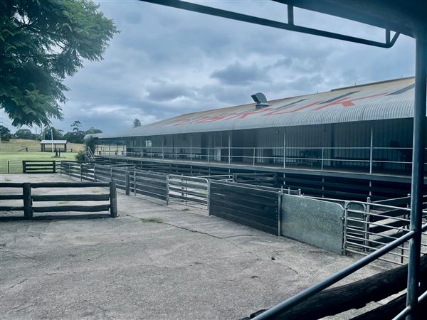 Tobruk Sheep Station - Shearing Shed & Event Venue - These photos were taken at the end of summer however, it was an unusually overcast yet bright day. (23/02/2021 - Credits: Cheryl Conway)