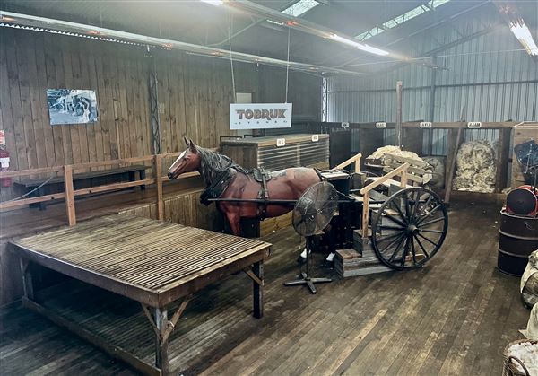 Tobruk Sheep Station - Shearing Shed & Event Venue - These photos were taken at the end of summer however, it was an unusually overcast yet bright day. (23/02/2021 - Credits: Cheryl Conway)