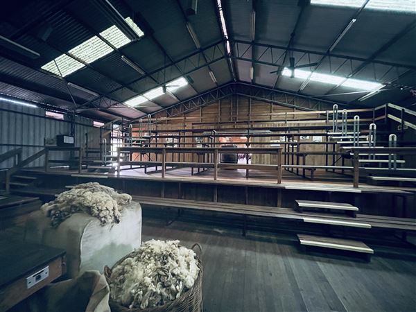 Tobruk Sheep Station - Shearing Shed & Event Venue - These photos were taken at the end of summer however, it was an unusually overcast yet bright day. (23/02/2021 - Credits: Cheryl Conway)