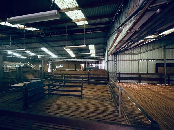 Tobruk Sheep Station - Shearing Shed & Event Venue - These photos were taken at the end of summer however, it was an unusually overcast yet bright day. (23/02/2021 - Credits: Cheryl Conway)