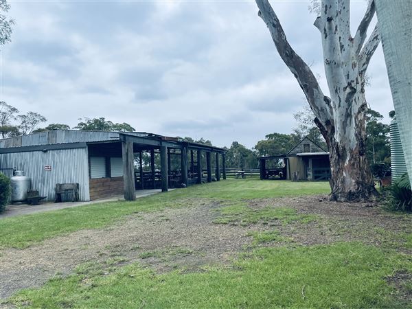 Tobruk Sheep Station - Cottages & surrounds - Summer but usually overcast & glarey. (23/02/2021 - Credits: Cheryl Conway)