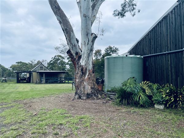 Tobruk Sheep Station - Cottages & surrounds - Summer but usually overcast & glarey. (23/02/2021 - Credits: Cheryl Conway)
