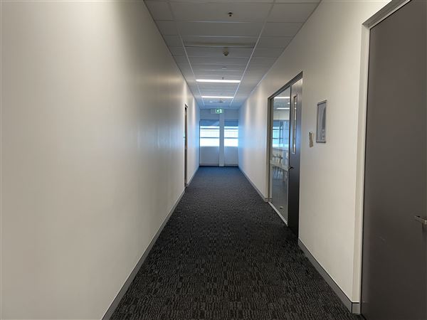 Open Plan Office space Lidcombe (networked) -  Short term leases available up until end of 2022 (8/03/2021 - Credits: Screen NSW Mechele Axford)