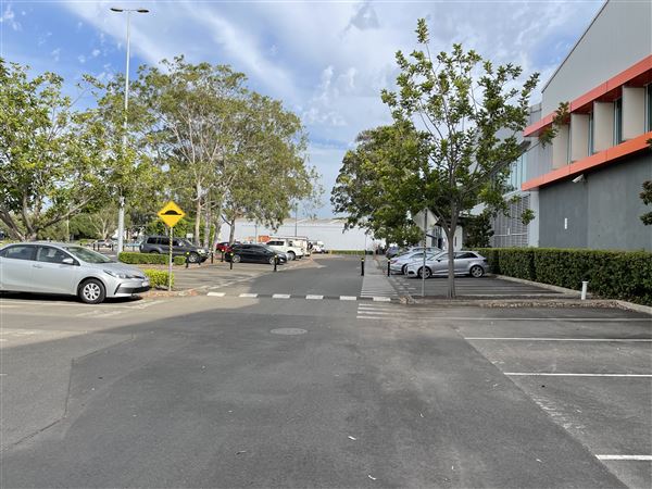 Open Plan Office space Lidcombe (networked) -  Short term leases available up until end of 2022 (8/03/2021 - Credits: Screen NSW Mechele Axford)