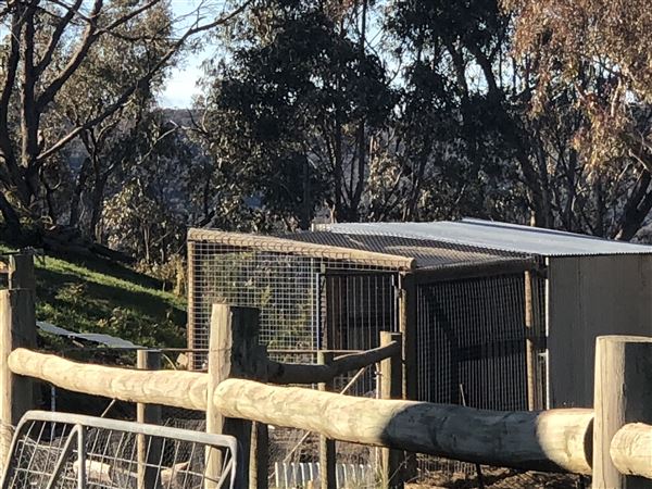 Private Property - Tumbarumba, NSW (1/06/2020 - Credits: Derek Smith)