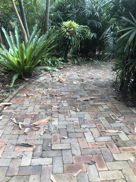 Private House - Hidden Retreat (5/07/2022)