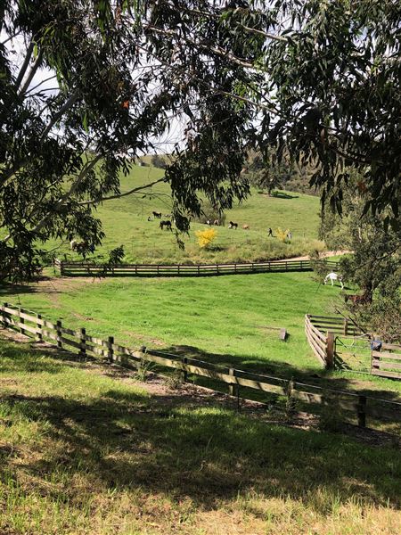 Cox's River Rest (15/05/2023 - Credits: submitted by: Kimberly Lanuza)