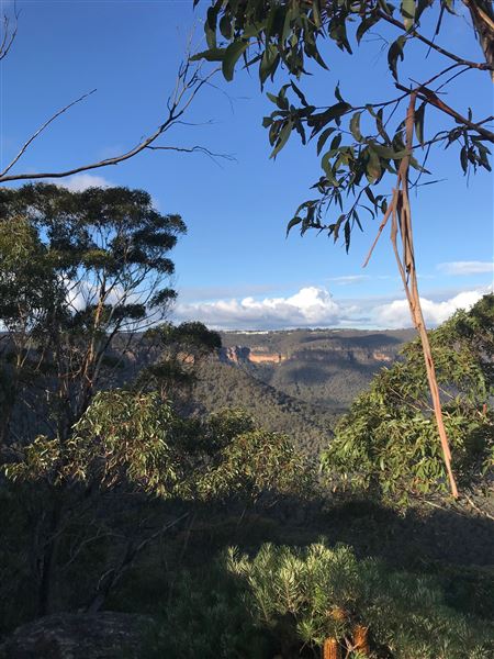 Hargraves Lookout (17/05/2023 - Credits: Julie Miller)