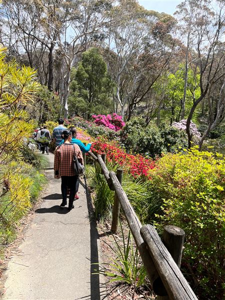 Campbell Rhododendron Gardens (1/10/2022 - Credits: Julie Parker, Deb Wells)