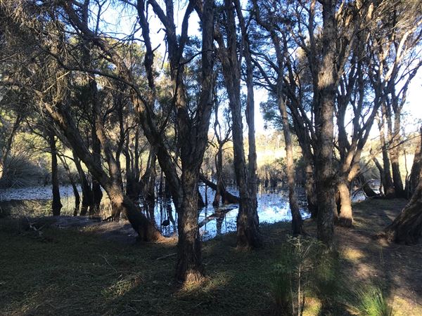 Glenbrook Lagoon (24/05/2023 - Credits: BMCC)