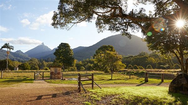 Mt Warning Estate (12/09/2023 - Credits: Graham Dietrich)