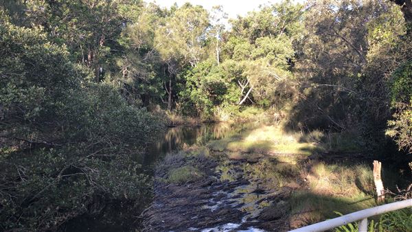 Nambucca Heads Swimming Creek (9/10/2020 - Credits: Shannon Wheeler)