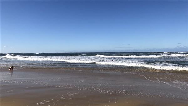 Nambucca Heads Swimming Creek (9/10/2020 - Credits: Shannon Wheeler)