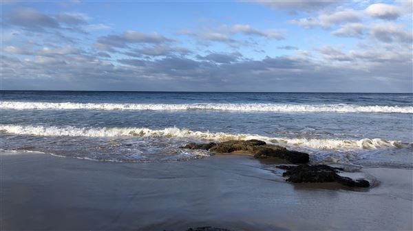 Nambucca Heads (14/07/2020 - Credits: Shannon Wheeler)