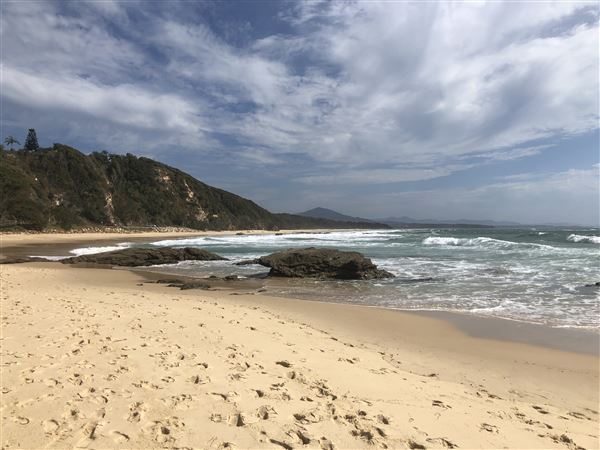Nambucca Heads (9/10/2020 - Credits: Shannon Wheeler)
