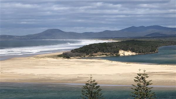 Nambucca Heads (9/10/2020 - Credits: Shannon Wheeler)