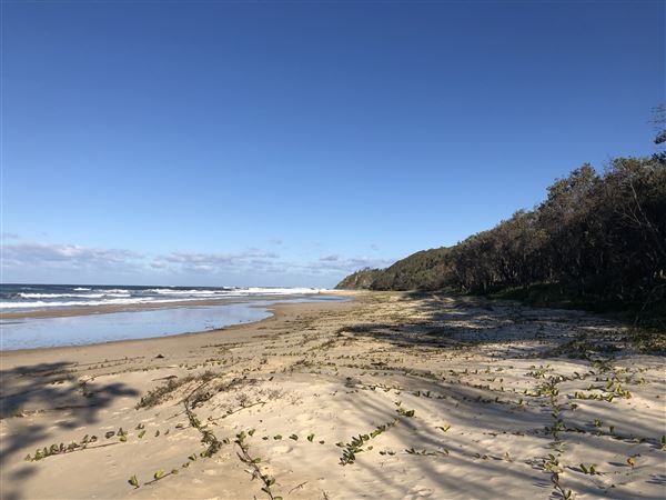Nambucca Heads (9/10/2020 - Credits: Shannon Wheeler)