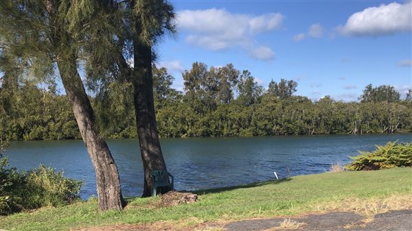 Nambucca Heads (9/10/2020 - Credits: Shannon Wheeler)
