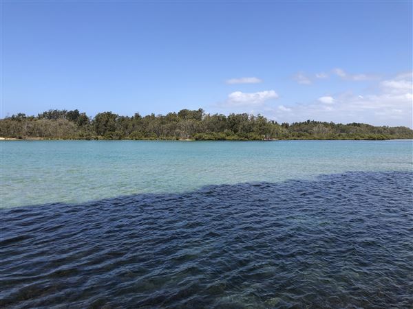 Nambucca Heads (9/10/2020 - Credits: Shannon Wheeler)