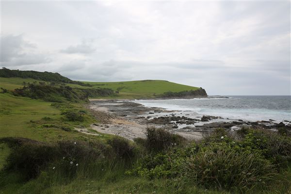 Black Head Reserve (11/01/2018 - Credits: Lisa Scope)