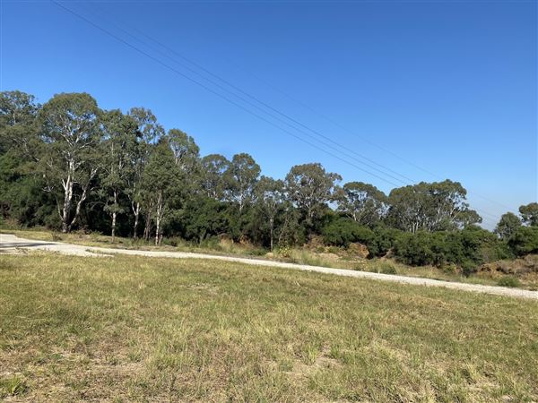 Former Prospect Quarry - Sydney Water Corporation Site (1/07/2022 - Credits: Phillip Roope)