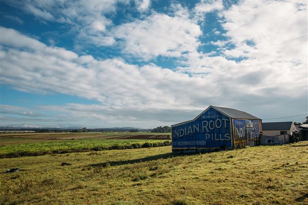 Indian Root Pills Tin Shed (28/10/2021 - Credits: Maitland City Council)