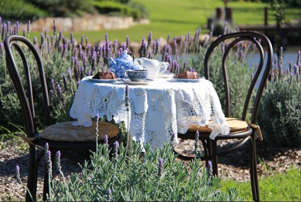 The Bath House Gardens (4/06/2020 - Credits: The Bath House Gardens)