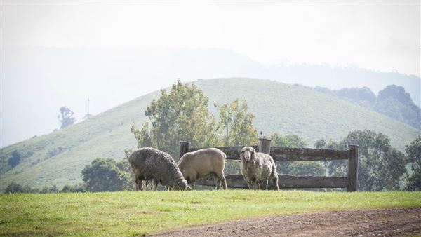 The Barracks (28/05/2020 - Credits: Tocal Homestead)