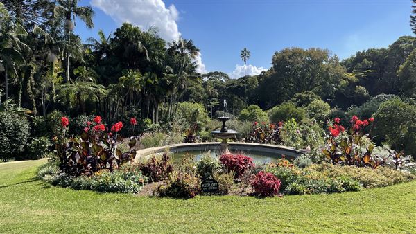 Vaucluse House (27/03/2024 - Credits: Shannon Wheeler)