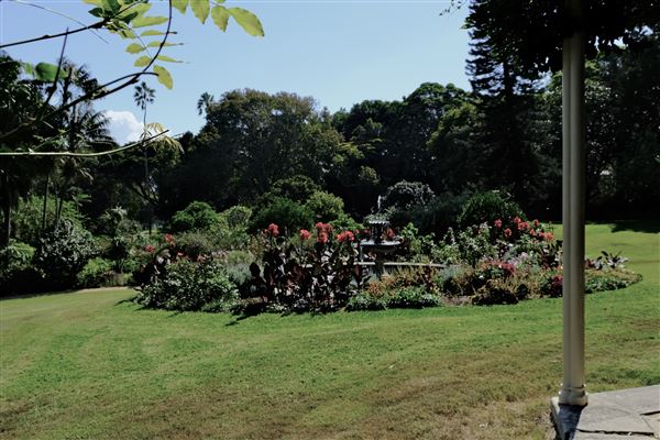 Vaucluse House (27/03/2024 - Credits: Shannon Wheeler)