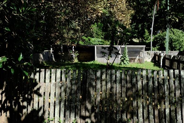 Vaucluse House (27/03/2024 - Credits: Shannon Wheeler)