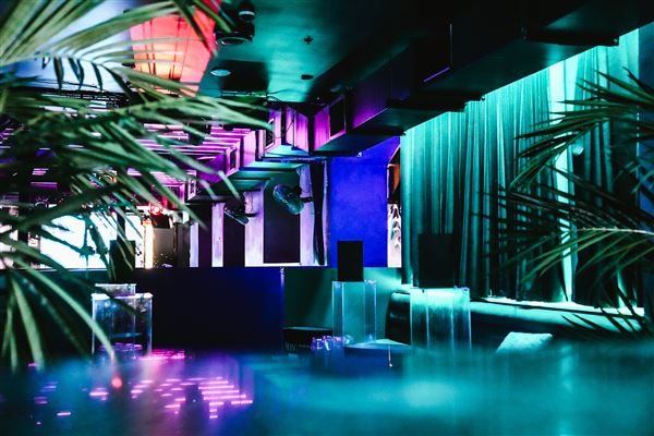 Noir Nightclub (26/02/2025 - Credits: Billie Acosta)