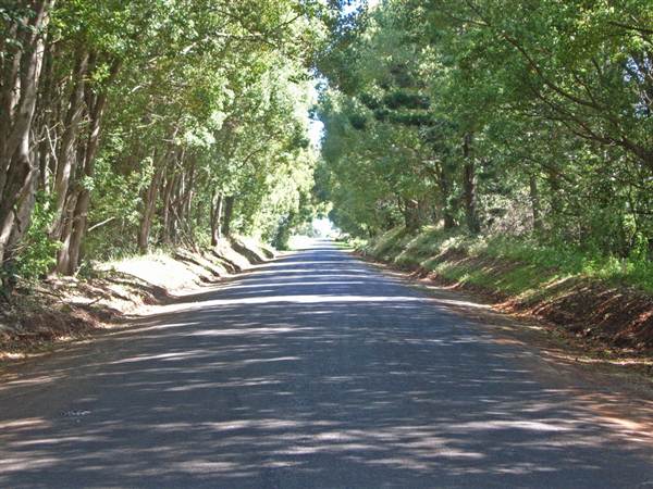 Alstonville (25/02/2013 9:44:46 PM)