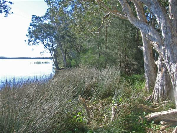 Northern Broadwater Picnic Area (26/02/2013 4:33:51 PM)