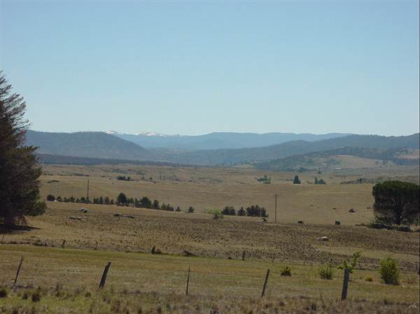 Dalgety/Cooma (27/02/2013 10:55:21 AM)