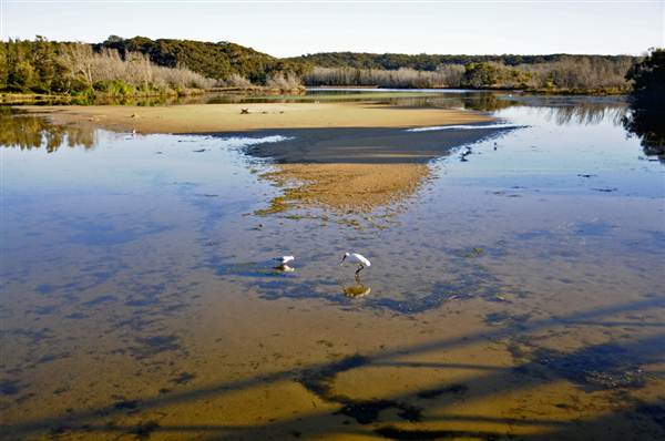 Dalmeny (27/02/2013 11:37:39 AM)