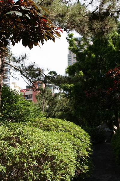 Chinese Garden of Friendship - Darling Harbour (27/02/2013 1:35:13 PM)