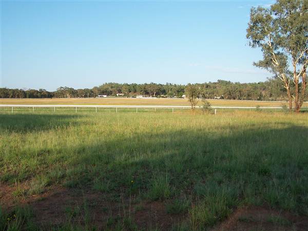 Coonabarabran Jockey Club (27/02/2013 1:35:53 PM)