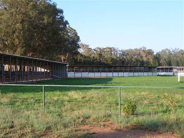 Coonabarabran Jockey Club (27/02/2013 1:36:22 PM)