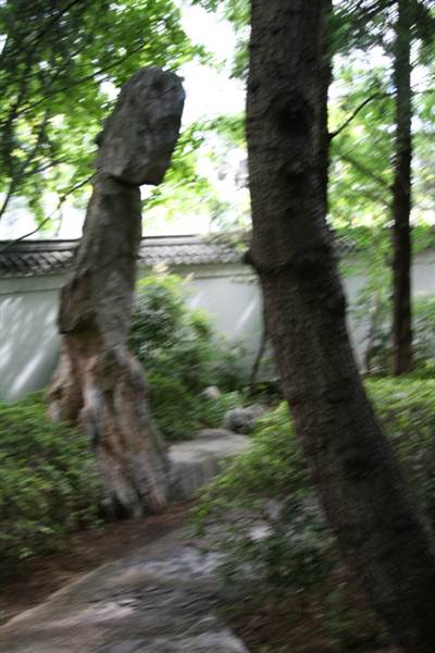 Chinese Garden of Friendship - Darling Harbour (27/02/2013 1:36:58 PM)