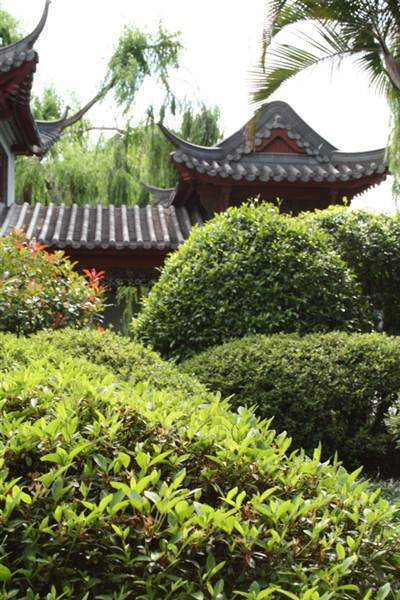 Chinese Garden of Friendship - Darling Harbour (27/02/2013 1:37:37 PM)