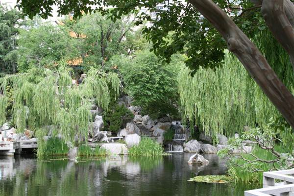 Chinese Garden of Friendship - Darling Harbour (27/02/2013 1:40:19 PM)