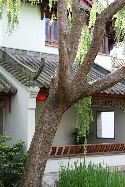 Chinese Garden of Friendship - Darling Harbour (27/02/2013 1:40:40 PM)