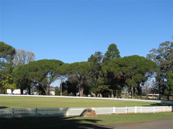 Cootamundra (27/02/2013 1:52:32 PM)