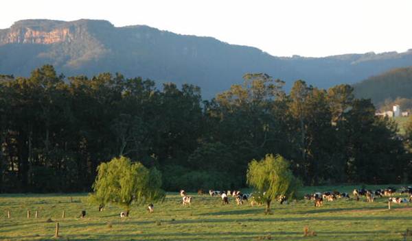 Kangaroo Valley (27/02/2013 4:06:18 PM)