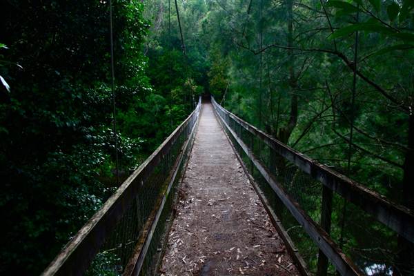 Kangaroo Valley River Suspension Bridge (27/02/2013 4:20:43 PM)