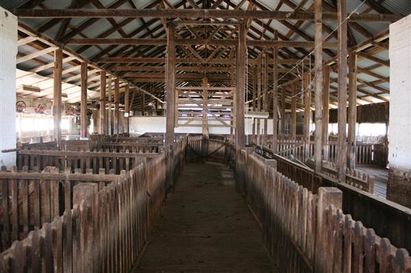 Deeargee Woolshed (27/02/2013 7:49:51 PM)