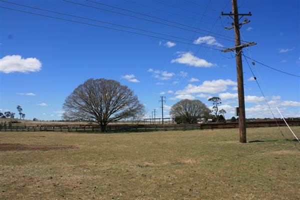 Deeargee Woolshed (27/02/2013 7:50:21 PM)