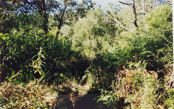 Deep Creek Reserve (27/02/2013 8:31:28 PM)