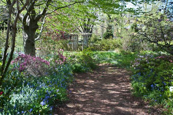 Lady Fairfax Gardens (28/02/2013 10:11:24 AM)